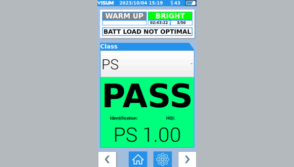 screen palm 1