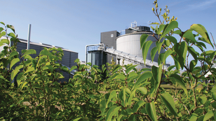 biothenol et nir