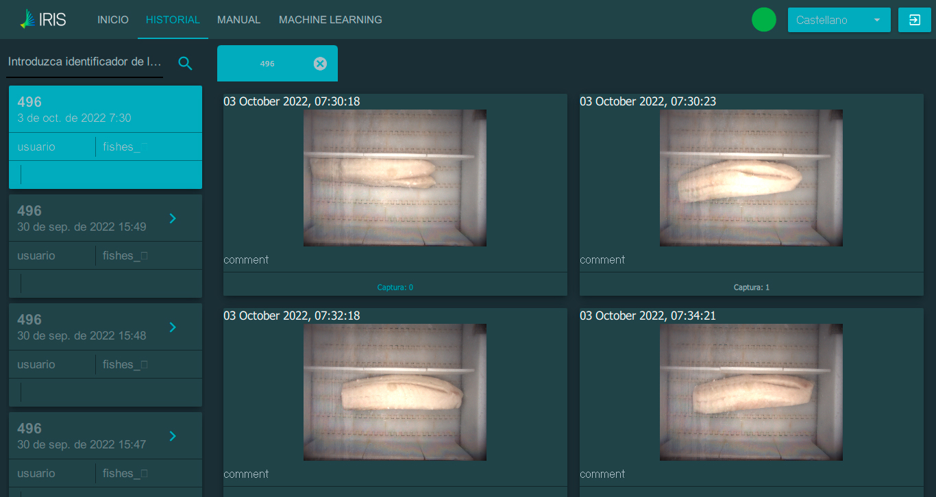 Detection of defects in fish loins